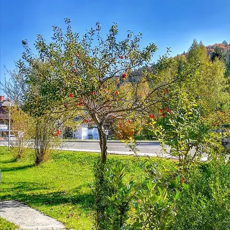 Apartma Jerman * Kranjska Gora